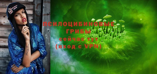 винт Алексин