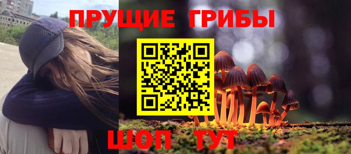Галлюциногенные грибы Magic Shrooms  где найти   Псилоцибиновые грибы MAGIC MUSHROOMS  Полевской  Вход с VPN 